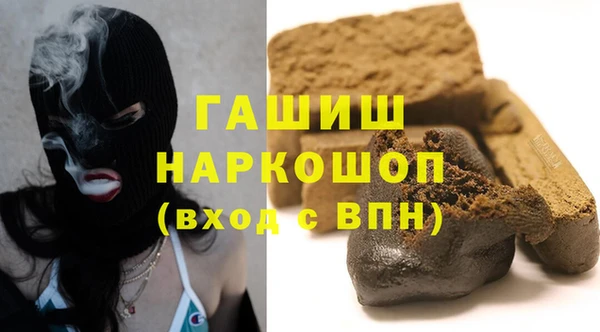 хмурый Аркадак