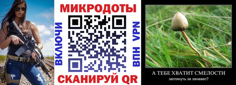 где продают   Абакан  Галлюциногенные грибы Psilocybine cubensis 